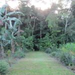 Ideas para crear uñas con diseños inspirados en la naturaleza tropical