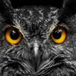 La evolución del nail art en 3D: Del pasado al presente