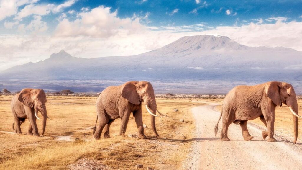 Uñas con efecto safari: diseños inspirados en la fauna y flora africana