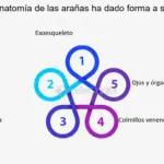 Uñas efecto camaleón invertido: un juego de colores para tus manos