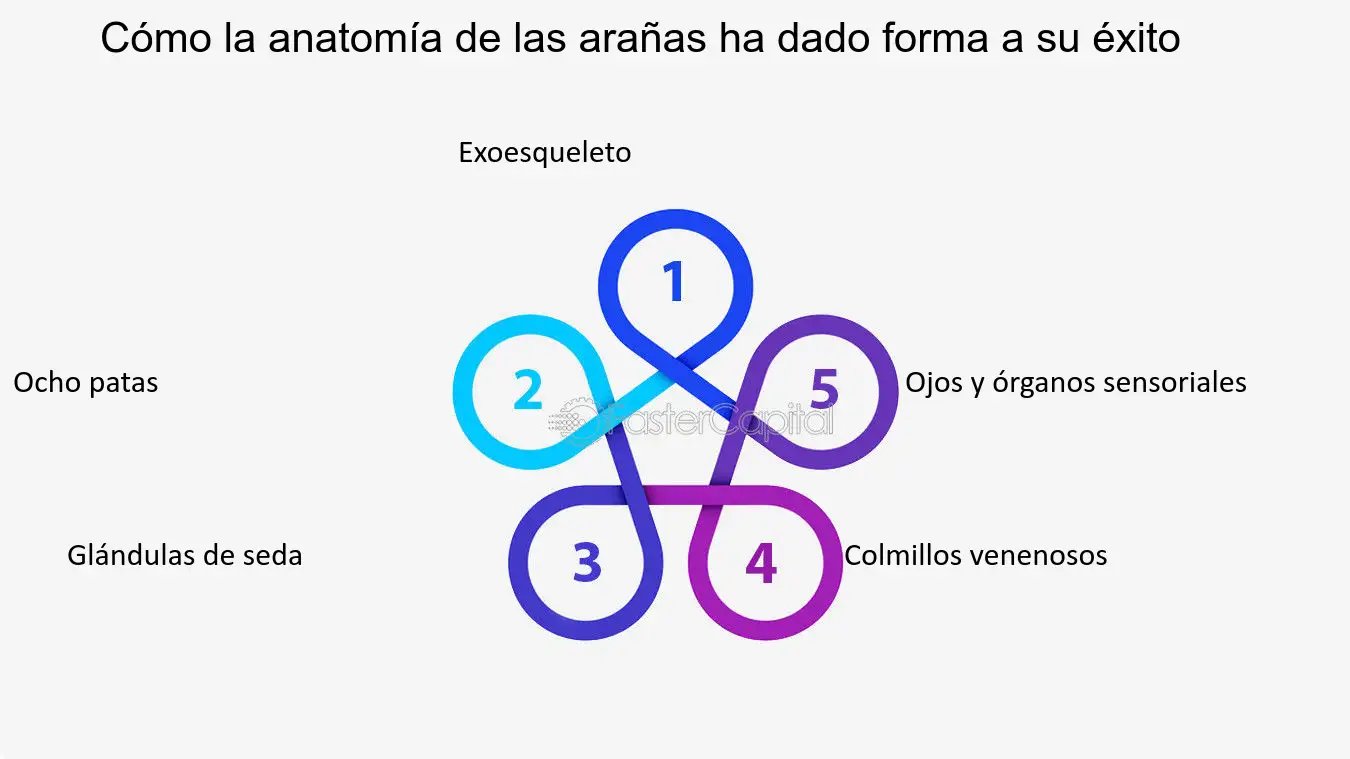 Uñas efecto camaleón invertido: un juego de colores para tus manos